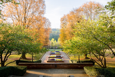 autumn trees line a walkway at Samford University